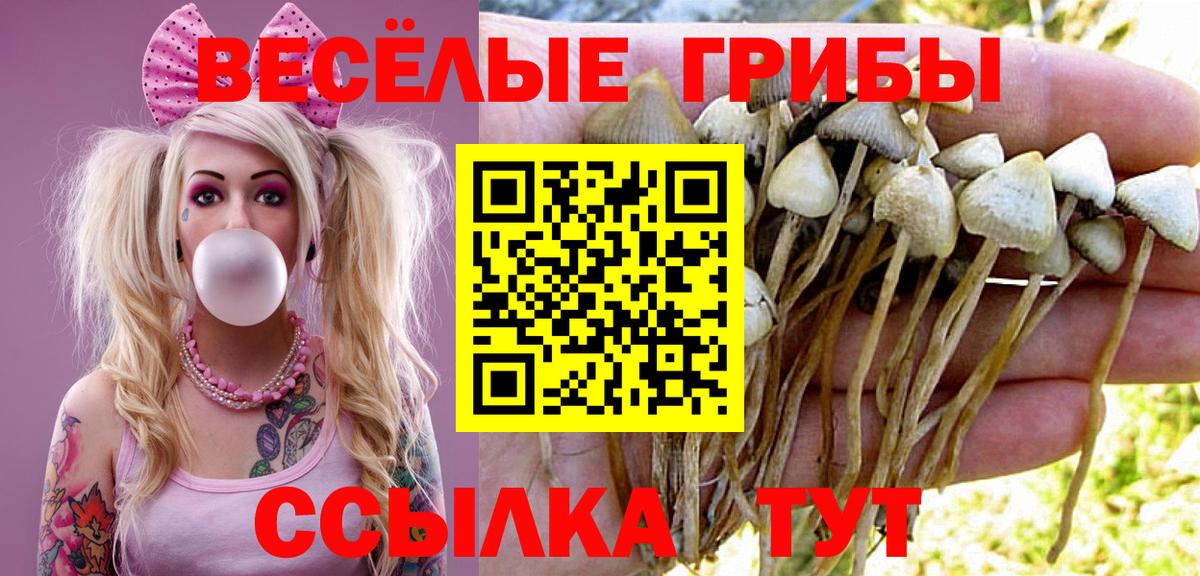 Псилоцибиновые грибы Psilocybine cubensis  Вход с VPN  что такое наркотик  Ивантеевка  Псилоцибиновые грибы ЛСД 