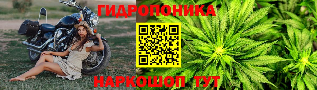 Бошки марихуана LSD WEED Ивантеевка
